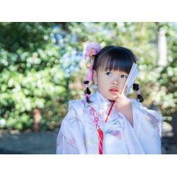 七五三の撮影（野田市 櫻木神社）の画像3