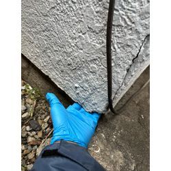 流山市ネズミ駆除の画像1