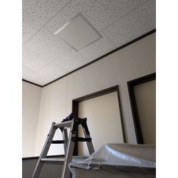 ハクビシン・アライグマ対策をしました。の画像2