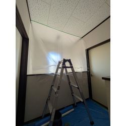 ハクビシン・アライグマ対策をしました。の画像1