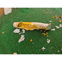 市川市ネズミ駆除の画像1