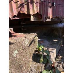 長崎県　イタチ　追い出し　侵入対策の画像1