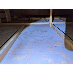 ☆埼玉県鴻巣市からアライグマ駆除のご依頼の画像1