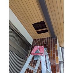 ☆埼玉県鴻巣市からアライグマ駆除のご依頼の画像2