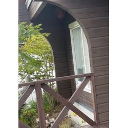 巨大キイロスズメバチの巣の画像3