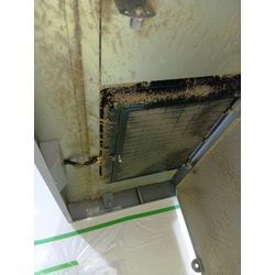 ねこさんがいるご自宅のレンジフードの画像1