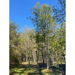 環境を変えて、誰よりも「熱狂」した状態にするの画像3