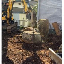 見た目は元気でも中は空洞…？大木に潜む本当のリスクの画像2