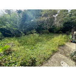 おはようございます！除草作業をさせて頂きました！の画像1