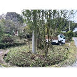 おはようございます！除草作業をさせて頂きました！の画像3