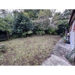 おはようございます！除草作業をさせて頂きました！の画像2