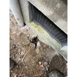 横浜市戸塚区ネズミ駆除の画像2