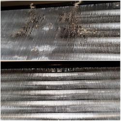 10年目にして初めてのクリーニング😱😱😱の画像2