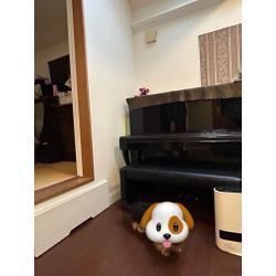 ざっくり整えて暮らしを楽に！の画像2