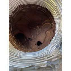 住居のお風呂場ダクトのクリーニングをしたら蜂の巣が出てきました。の画像2