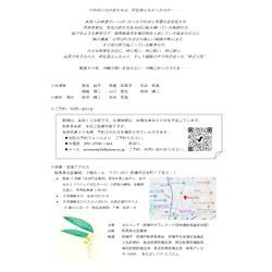 ひめゆりの歌沖縄1945の画像2