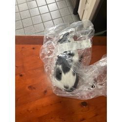 IKEAの台車ゲットー❗️の画像3