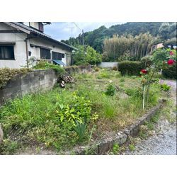 除草作業をさせて頂きました！の画像1