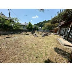 除草作業をさせて頂きました！の画像3