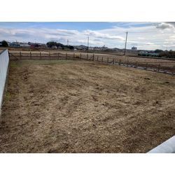 ひろーい土地二日目の画像1