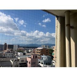 久留米市への鳩よけネット取り付け、防鳥ネットの画像1