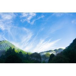 小野順平の取扱説明書の画像2