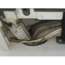 カビ生えてませんか？の画像1