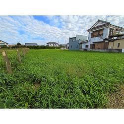 PR　強力な助っ人登場！の画像1