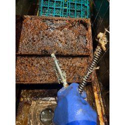 グリストのつまりの画像3