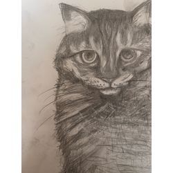 ペットの絵をプレゼント🎁の画像1