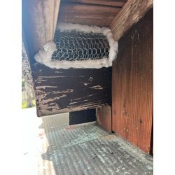 イタチ　侵入塞ぎ　佐賀市の画像2