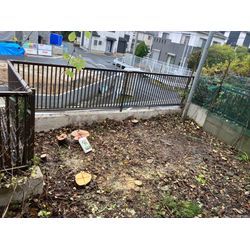 大津市　伐採の画像3