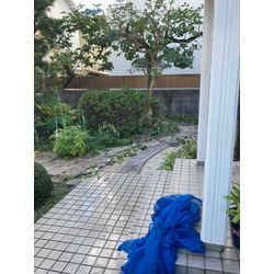 剪定作業| 広島県山口県で庭木の剪定は塩田剪庭園の画像1