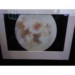 エヴァフェスの思い出の画像2