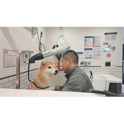 2026年もよろしくお願いいたしますの画像1