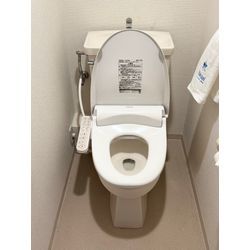 酸素系漂白剤の禁忌と注意点の画像1