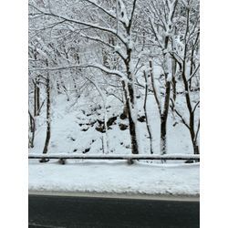 雪が降りました！の画像1