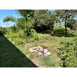 除草作業をさせて頂きました！の画像2