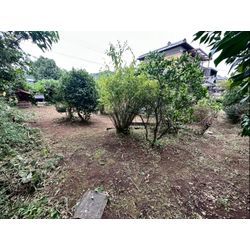 お庭の除草作業をさせて頂きました！の画像3