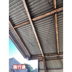 熊本県天草市　ハト対策の画像3