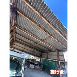 熊本県天草市　ハト対策の画像2