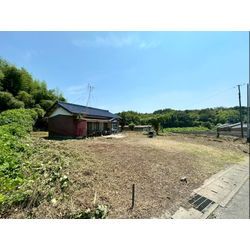 除草作業をさせて頂きました！の画像3