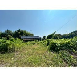 除草作業をさせて頂きました！の画像1