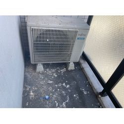 鳥害対策の画像1