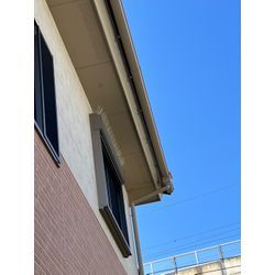 佐賀県佐賀市　ハト対策の画像3