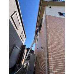 佐賀県佐賀市　ハト対策の画像2