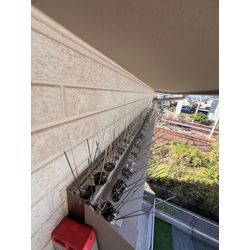 佐賀県佐賀市　ハト対策の画像1