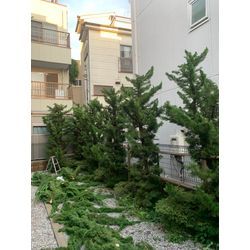 店舗名に便利屋がなぜついてるの？？の画像1