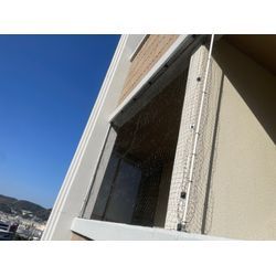 鳥害対策の画像2