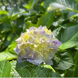 【くらしのマーケットさん卒業します！】の画像1